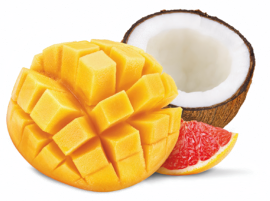 Mango and Coconut ingredient